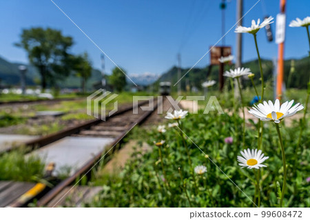 White flowers beside the railroad tracks ~Tadami Line~ 99608472