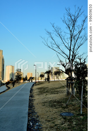 從晴海臨海公園看到的商業設施和高層公寓的夜景 從晴海臨海公園看到的商業設施和高層公寓的夜景 99609650