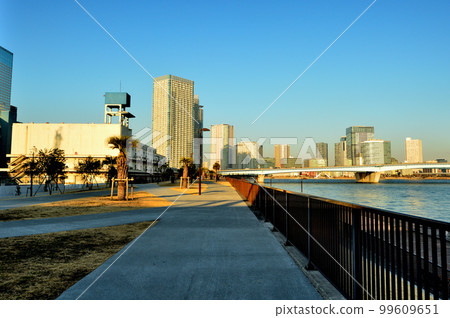 從晴海臨海公園看到的商業設施和高層公寓的夜景 99609651