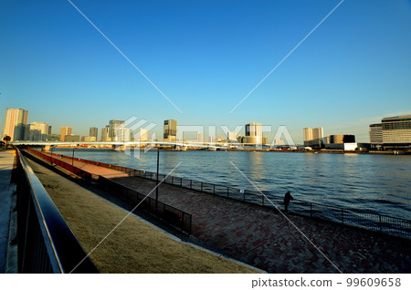 Evening view of commercial facilities and high-rise condominiums seen from Harumi Rinkai Park 99609658