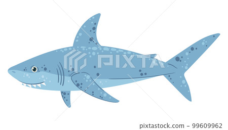 Ocean swimming shark. Cartoon cute shark creature, underwater marine shark predator flat vector illustration on white background Ocean swimming shark. Cartoon cute shark creature, underwater marine shark predator flat vector illustration on white background 99609962