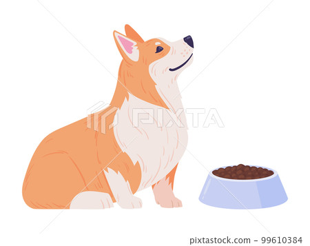 Corgi puppy. Cartoon cute corgi pet with dog food, happy domestic pedigree puppy waiting command to eat flat vector illustration 99610384