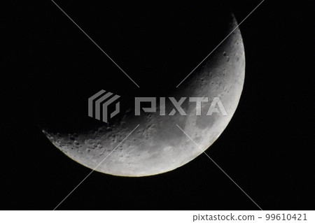 Moon  99610421