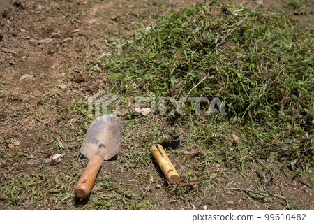 除草花園 99610482