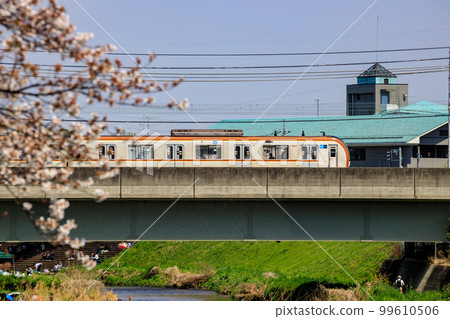 櫻花盛開的春天東武東上線鐵橋 櫻花盛開的春天東武東上線鐵橋 99610506