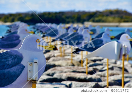 Sakushima's splendid scenery that we want to leave for future generations Sakushima's splendid scenery that we want to leave for future generations 99611772