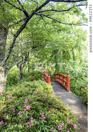 公園路新綠季（打吹公園） 99612353