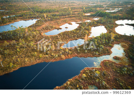 A drone photo of expansive summer swamps with winding streams, tall reeds and grasses, and green and brown wetlands. Capturing the nature scenery of this remote and unspoiled wilderness A drone photo of expansive summer swamps with winding streams, tall reeds and grasses, and green and brown wetlands. Capturing the nature scenery of this remote and unspoiled wilderness 99612369