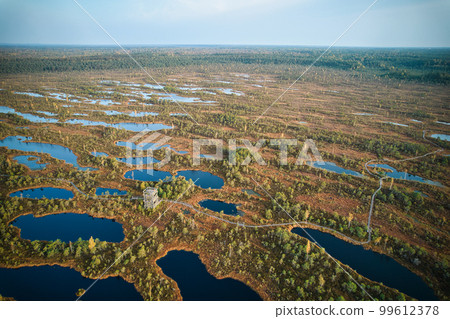 A drone photo of expansive summer swamps with winding streams, tall reeds and grasses, and green and brown wetlands. Capturing the nature scenery of this remote and unspoiled wilderness 99612378