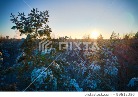 Aerial view of frosty white winter pine forests and birch groves covered with hoarfrost and snow. Drone photo of high trees in mountains at winter time. Idyllic landscape Aerial view of frosty white winter pine forests and birch groves covered with hoarfrost and snow. Drone photo of high trees in mountains at winter time. Idyllic landscape 99612386