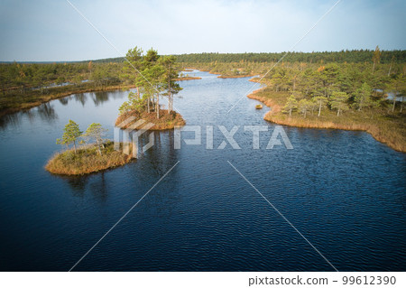 A drone photo of expansive summer swamps with winding streams, tall reeds and grasses, and green and brown wetlands. Capturing the nature scenery of this remote and unspoiled wilderness 99612390