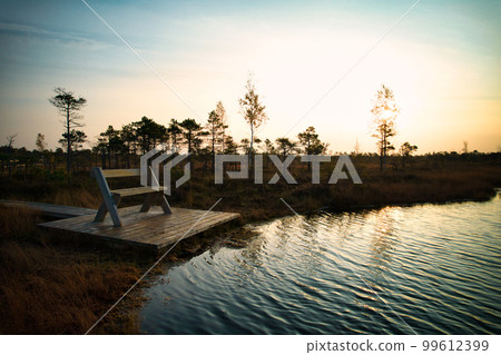 A drone photo of expansive summer swamps with winding streams, tall reeds and grasses, and green and brown wetlands. Capturing the nature scenery of this remote and unspoiled wilderness 99612399