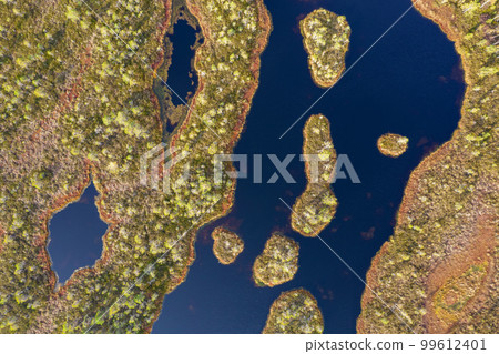 A drone photo of expansive summer swamps with winding streams, tall reeds and grasses, and green and brown wetlands. Capturing the nature scenery of this remote and unspoiled wilderness A drone photo of expansive summer swamps with winding streams, tall reeds and grasses, and green and brown wetlands. Capturing the nature scenery of this remote and unspoiled wilderness 99612401