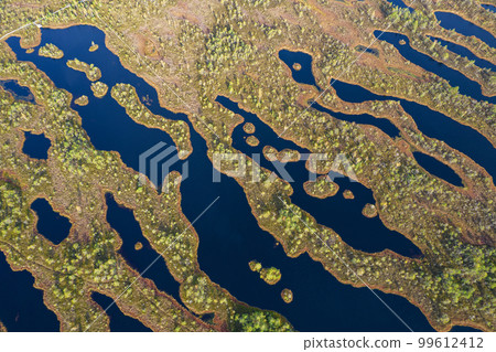 A drone photo of expansive summer swamps with winding streams, tall reeds and grasses, and green and brown wetlands. Capturing the nature scenery of this remote and unspoiled wilderness A drone photo of expansive summer swamps with winding streams, tall reeds and grasses, and green and brown wetlands. Capturing the nature scenery of this remote and unspoiled wilderness 99612412