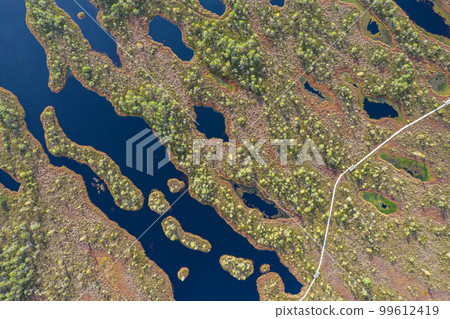 A drone photo of expansive summer swamps with winding streams, tall reeds and grasses, and green and brown wetlands. Capturing the nature scenery of this remote and unspoiled wilderness 99612419
