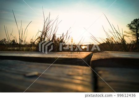 A drone photo of expansive summer swamps with winding streams, tall reeds and grasses, and green and brown wetlands. Capturing the nature scenery of this remote and unspoiled wilderness 99612436