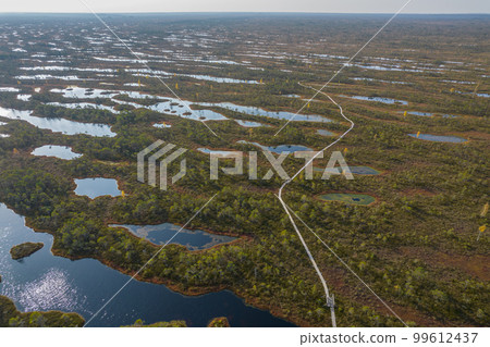 A drone photo of expansive summer swamps with winding streams, tall reeds and grasses, and green and brown wetlands. Capturing the nature scenery of this remote and unspoiled wilderness A drone photo of expansive summer swamps with winding streams, tall reeds and grasses, and green and brown wetlands. Capturing the nature scenery of this remote and unspoiled wilderness 99612437