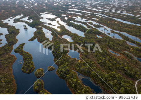 A drone photo of expansive summer swamps with winding streams, tall reeds and grasses, and green and brown wetlands. Capturing the nature scenery of this remote and unspoiled wilderness A drone photo of expansive summer swamps with winding streams, tall reeds and grasses, and green and brown wetlands. Capturing the nature scenery of this remote and unspoiled wilderness 99612439