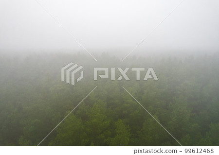 A stunning drone photo of a summer forest shrouded in thick fog. The mist creates a serene and tranquil setting, with an quality that enhances the natural beauty of the landscape. A stunning drone photo of a summer forest shrouded in thick fog. The mist creates a serene and tranquil setting, with an quality that enhances the natural beauty of the landscape. 99612468