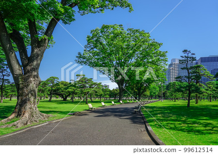 Promenade and benches on the lawn square (Imperial Palace Gaien) 99612514