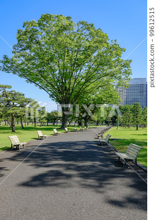 Promenade and benches on the lawn square (Imperial Palace Gaien) 99612515