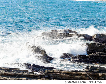 Interesting strata on the coastline of Inubosaki Alternating layers of sandstone and mudstone 99612569