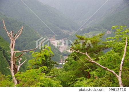 德島縣仲町木澤小學周邊風景 德島縣仲町木澤小學周邊風景 99612718