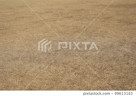Winter lawn 99613183