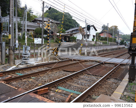 漫步大櫻 漫步大櫻 99613562