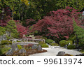 Konkai Komyoji Temple Shiun Garden 京都 99613974