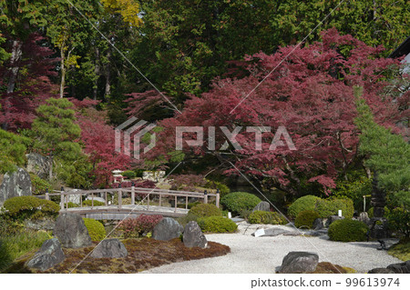 Konkai Komyoji Temple Shiun Garden 京都 99613974