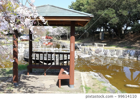 [Kagawa Prefecture] “Scenic Beauty Kotohiki Park” in spring with cherry blossoms (Zenigata Sunae) 99614110