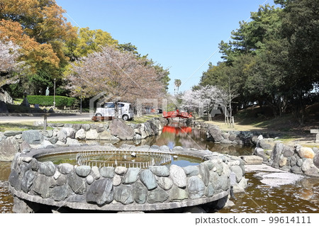 [Kagawa Prefecture] “Scenic Beauty Kotohiki Park” in spring with cherry blossoms (Zenigata Sunae) 99614111