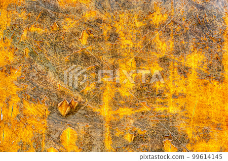 木外牆，東京 99614145