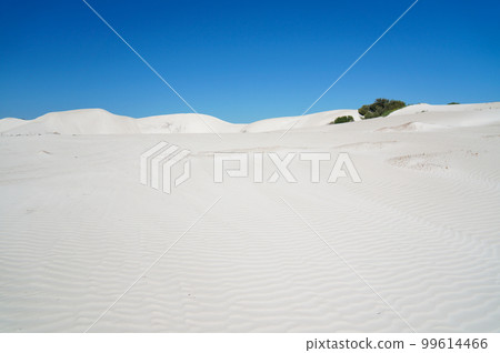 Lancelin White Desert, a tourist attraction in Western Australia 99614466