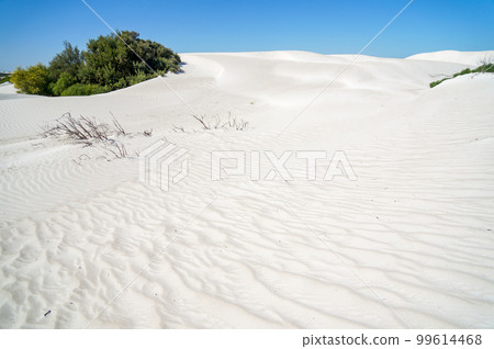 白色沙丘美麗的自然美景 99614468
