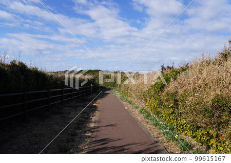 [Jogashima] Road to Umanose Domon 99615167