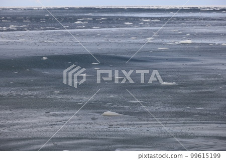 North Sea wave patterns 99615199
