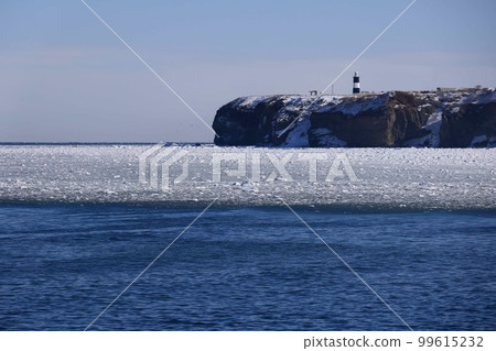 Winter landscape of Noge Cape 99615232