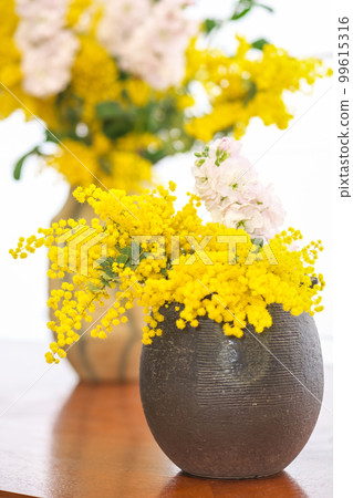 Mimosa flower that tells spring and stock pot arrangement photo 99615316