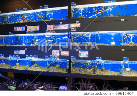 家庭中心的寵物店 99615404