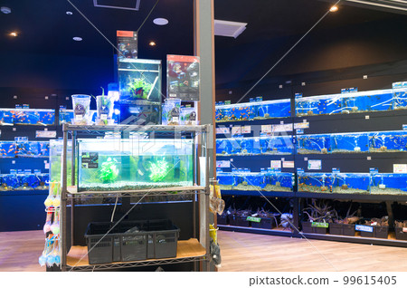 pet shop in home center 99615405