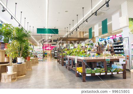 在家庭中心購買觀葉植物 99615801