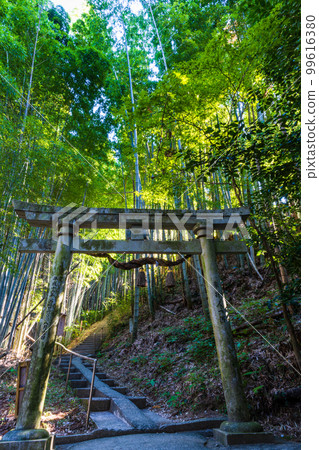 神龍八代龍王神社的鳥居風景 神龍八代龍王神社的鳥居風景 99616380
