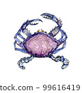 Watercolor illustration of a crab. Design element for menu, restaurant, aquarium, oceanarium. Mix technique - watercolour and graphics. Sea creatures. 99616419
