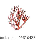 Watercolor illustration of coral. Design element for menu, restaurant, aquarium, oceanarium. Mix technique - watercolour and graphics. Sea creatures. 99616422
