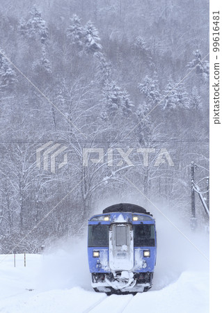Kiha 183 Series Limited Express "Okhotsk" entering Nakaaibetsu Station on the Sekihoku Main Line in winter 99616481