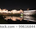 Fukuoka Castle Ruins Cherry Blossom Illumination 99616844