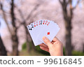 Cherry-blossom viewing playing cards 99616845