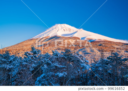 (靜岡縣)降雪時從水塚公園和越桐塚展望台看到的富士山 (靜岡縣)降雪時從水塚公園和越桐塚展望台看到的富士山 99616852